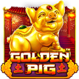 pp image